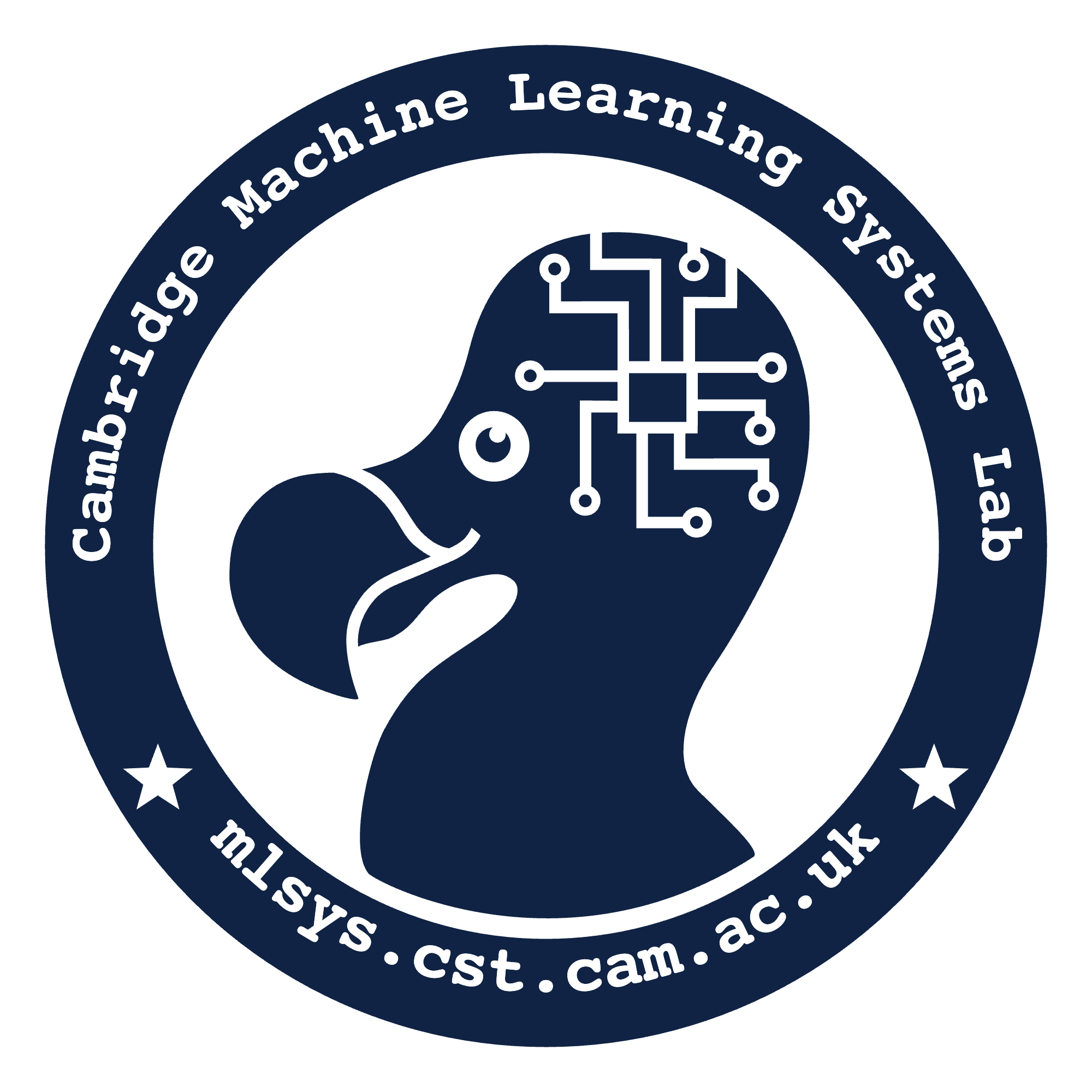 CaMLSys logo